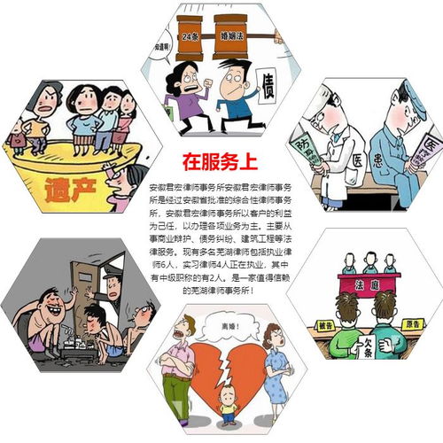 安徽君宏法律咨询 您身边的专业法律服务伙伴